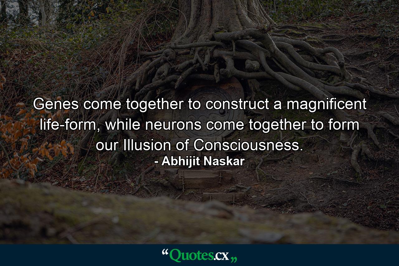 Genes come together to construct a magnificent life-form, while neurons come together to form our Illusion of Consciousness. - Quote by Abhijit Naskar