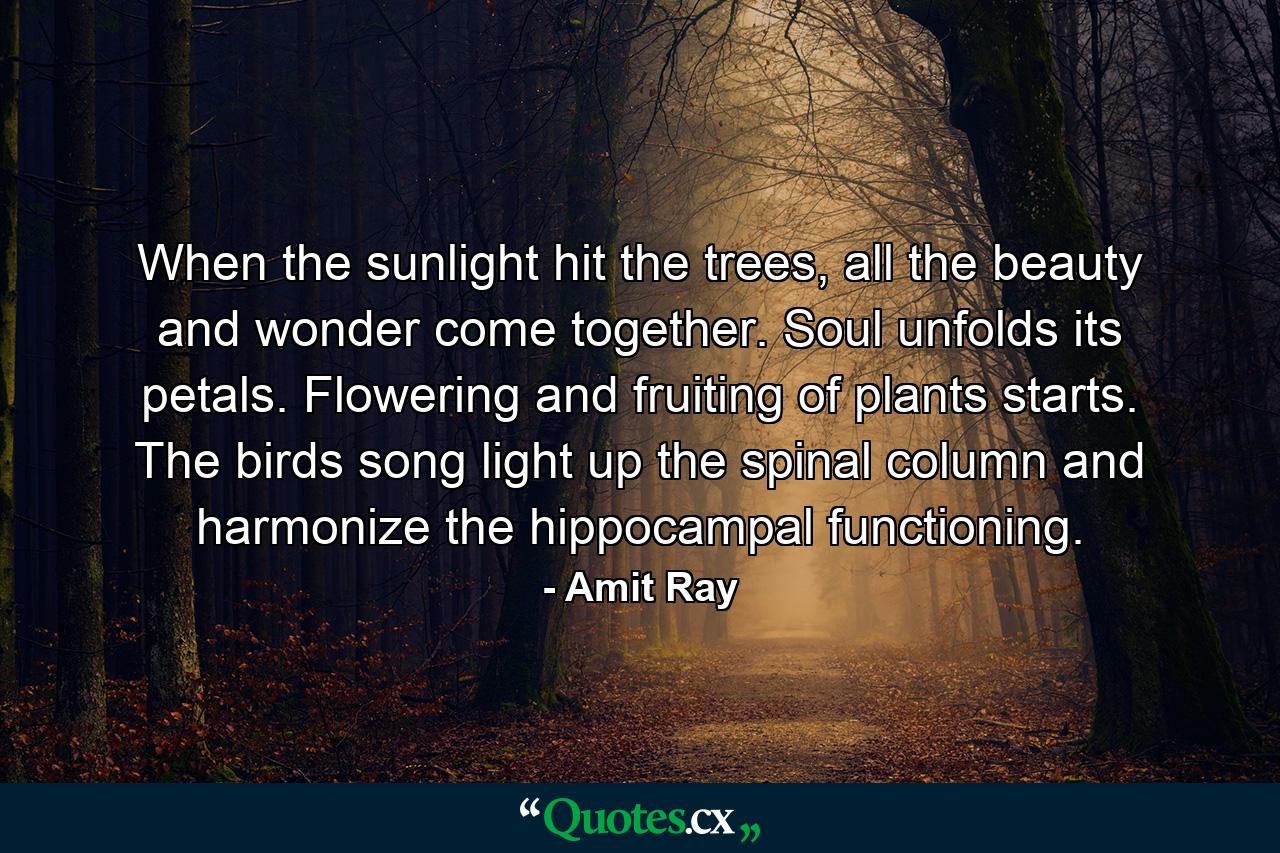 When the sunlight hit the trees, all the beauty and wonder come together. Soul unfolds its petals. Flowering and fruiting of plants starts. The birds song light up the spinal column and harmonize the hippocampal functioning. - Quote by Amit Ray