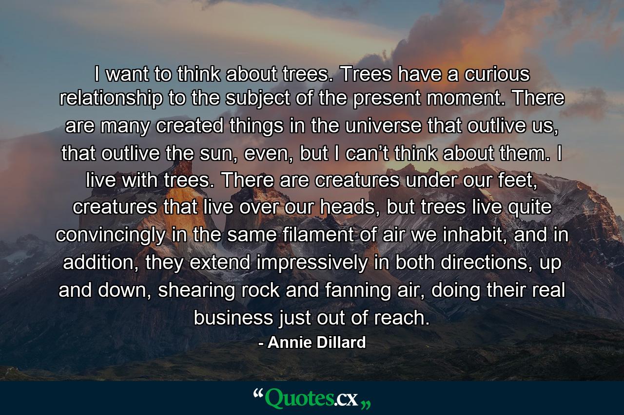 I want to think about trees. Trees have a curious relationship to the subject of the present moment. There are many created things in the universe that outlive us, that outlive the sun, even, but I can’t think about them. I live with trees. There are creatures under our feet, creatures that live over our heads, but trees live quite convincingly in the same filament of air we inhabit, and in addition, they extend impressively in both directions, up and down, shearing rock and fanning air, doing their real business just out of reach. - Quote by Annie Dillard