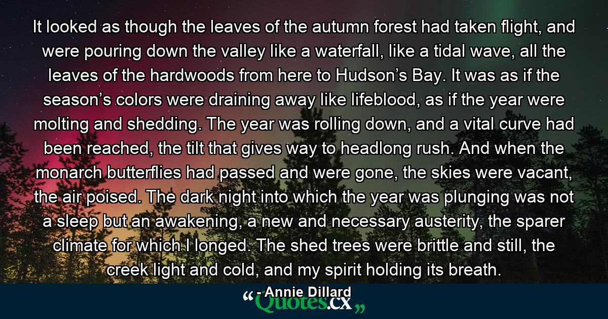 It looked as though the leaves of the autumn forest had taken flight, and were pouring down the valley like a waterfall, like a tidal wave, all the leaves of the hardwoods from here to Hudson’s Bay. It was as if the season’s colors were draining away like lifeblood, as if the year were molting and shedding. The year was rolling down, and a vital curve had been reached, the tilt that gives way to headlong rush. And when the monarch butterflies had passed and were gone, the skies were vacant, the air poised. The dark night into which the year was plunging was not a sleep but an awakening, a new and necessary austerity, the sparer climate for which I longed. The shed trees were brittle and still, the creek light and cold, and my spirit holding its breath. - Quote by Annie Dillard