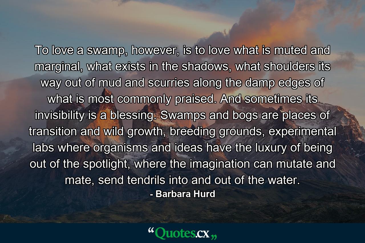 To love a swamp, however, is to love what is muted and marginal, what exists in the shadows, what shoulders its way out of mud and scurries along the damp edges of what is most commonly praised. And sometimes its invisibility is a blessing. Swamps and bogs are places of transition and wild growth, breeding grounds, experimental labs where organisms and ideas have the luxury of being out of the spotlight, where the imagination can mutate and mate, send tendrils into and out of the water. - Quote by Barbara Hurd