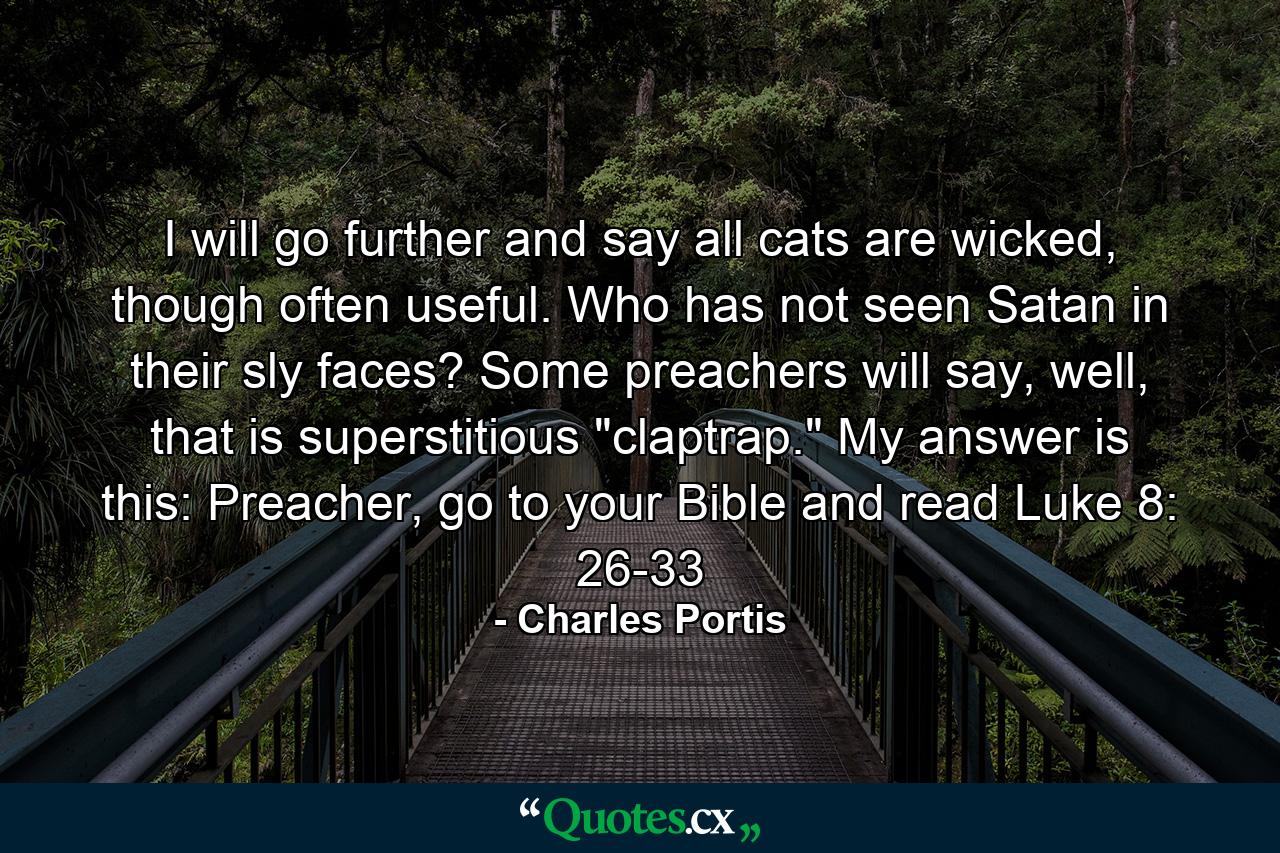 I will go further and say all cats are wicked, though often useful. Who has not seen Satan in their sly faces? Some preachers will say, well, that is superstitious 