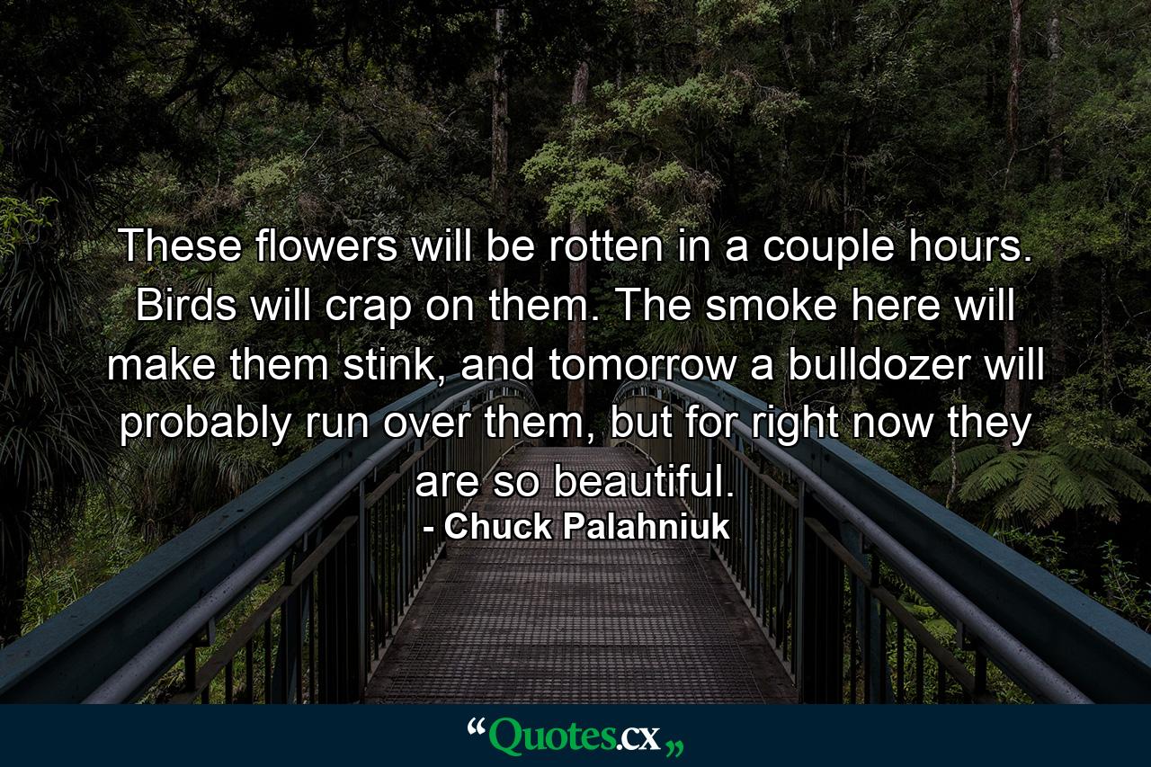 These flowers will be rotten in a couple hours. Birds will crap on them. The smoke here will make them stink, and tomorrow a bulldozer will probably run over them, but for right now they are so beautiful. - Quote by Chuck Palahniuk