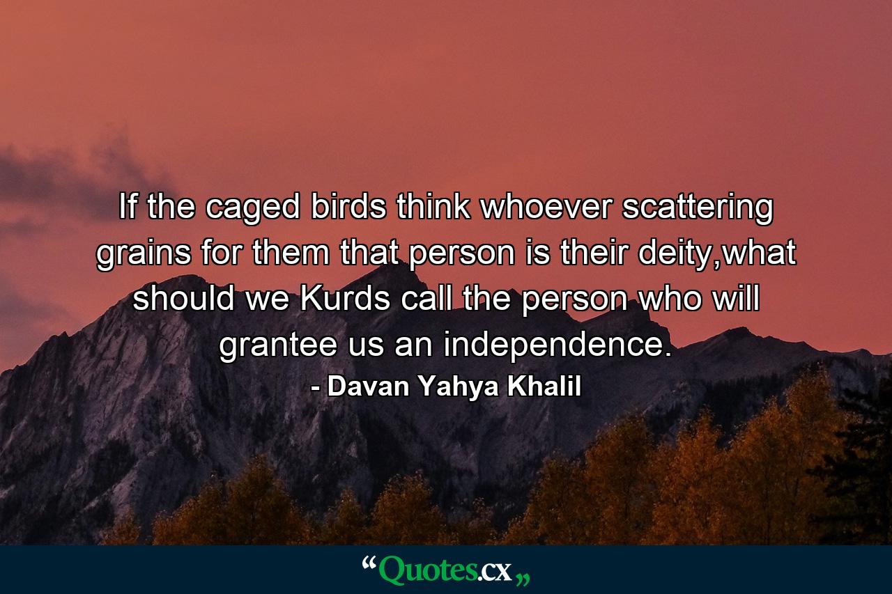 If the caged birds think whoever scattering grains for them that person is their deity,what should we Kurds call the person who will grantee us an independence. - Quote by Davan Yahya Khalil