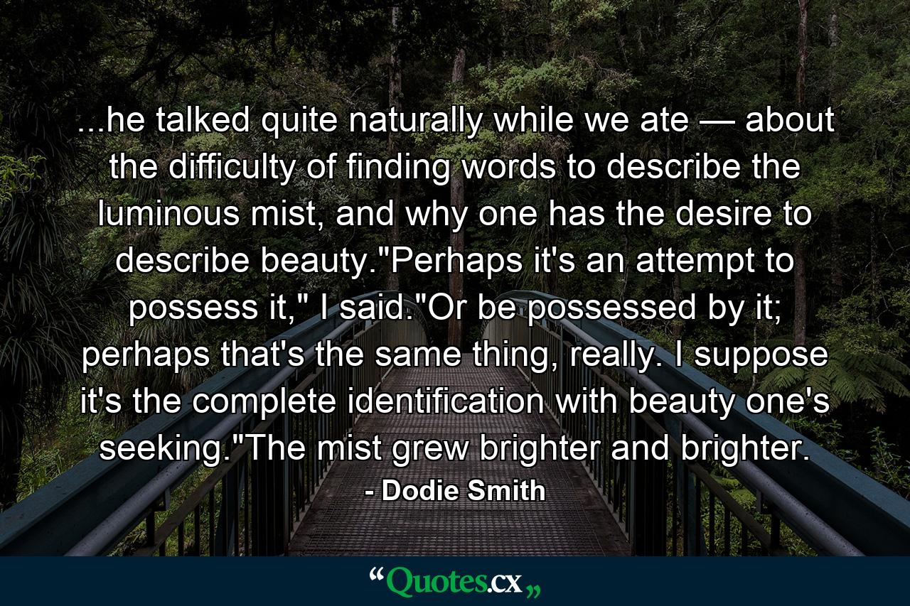 ...he talked quite naturally while we ate — about the difficulty of finding words to describe the luminous mist, and why one has the desire to describe beauty.