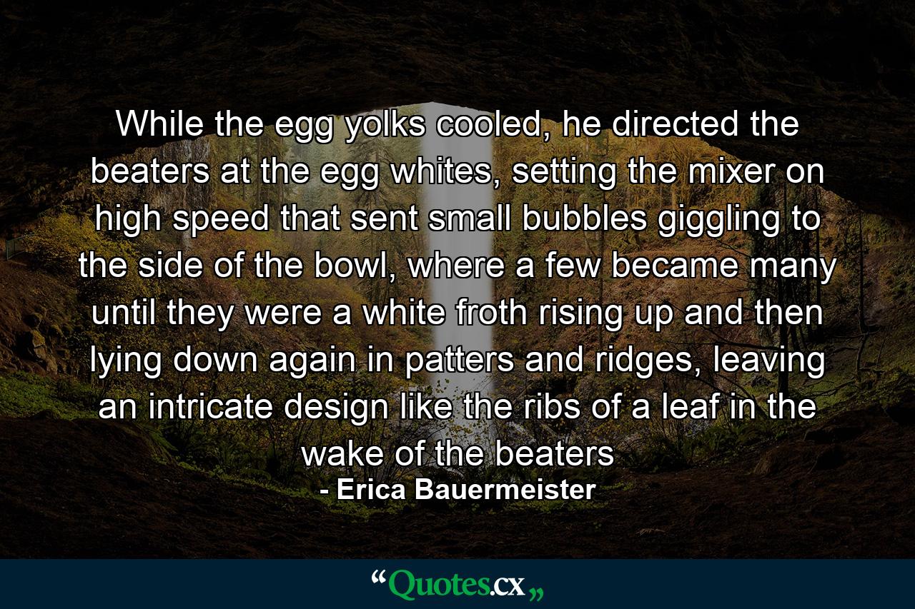 While the egg yolks cooled, he directed the beaters at the egg whites, setting the mixer on high speed that sent small bubbles giggling to the side of the bowl, where a few became many until they were a white froth rising up and then lying down again in patters and ridges, leaving an intricate design like the ribs of a leaf in the wake of the beaters - Quote by Erica Bauermeister