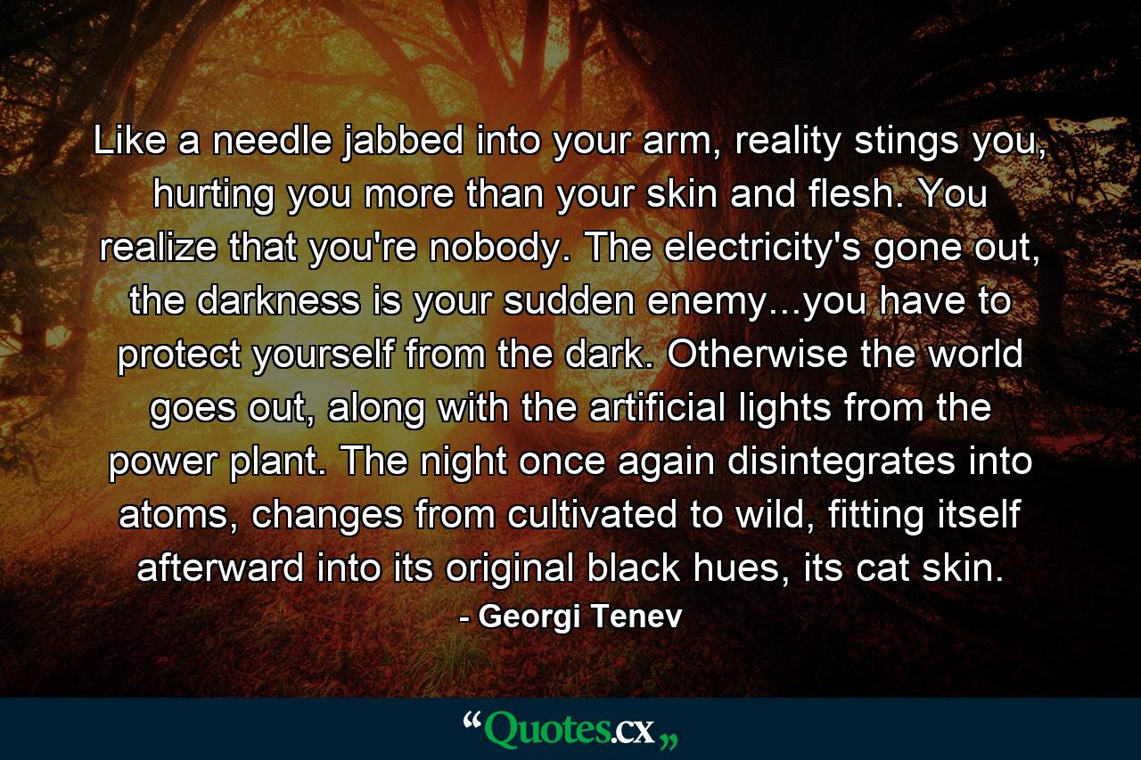 Like a needle jabbed into your arm, reality stings you, hurting you more than your skin and flesh. You realize that you're nobody. The electricity's gone out, the darkness is your sudden enemy...you have to protect yourself from the dark. Otherwise the world goes out, along with the artificial lights from the power plant. The night once again disintegrates into atoms, changes from cultivated to wild, fitting itself afterward into its original black hues, its cat skin. - Quote by Georgi Tenev