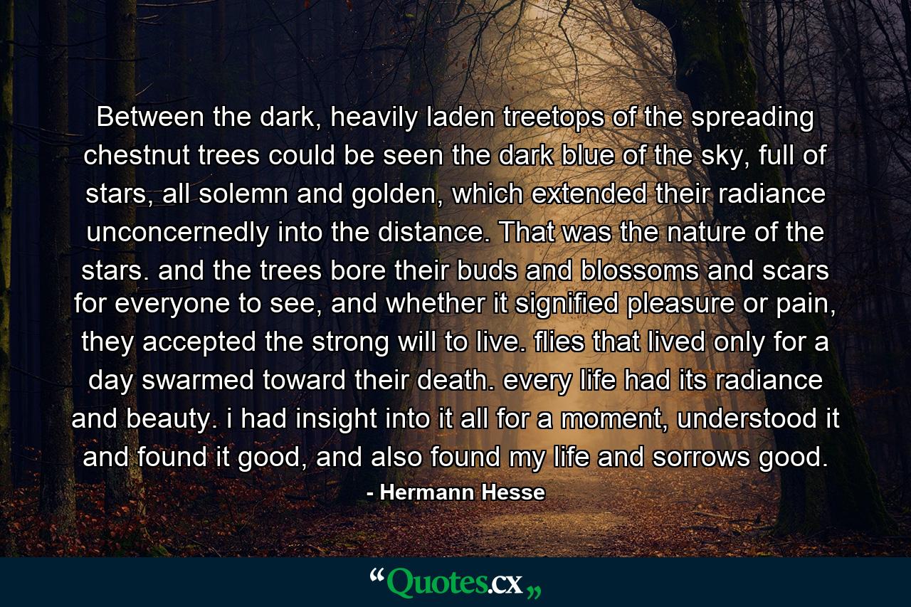 Between the dark, heavily laden treetops of the spreading chestnut trees could be seen the dark blue of the sky, full of stars, all solemn and golden, which extended their radiance unconcernedly into the distance. That was the nature of the stars. and the trees bore their buds and blossoms and scars for everyone to see, and whether it signified pleasure or pain, they accepted the strong will to live. flies that lived only for a day swarmed toward their death. every life had its radiance and beauty. i had insight into it all for a moment, understood it and found it good, and also found my life and sorrows good. - Quote by Hermann Hesse