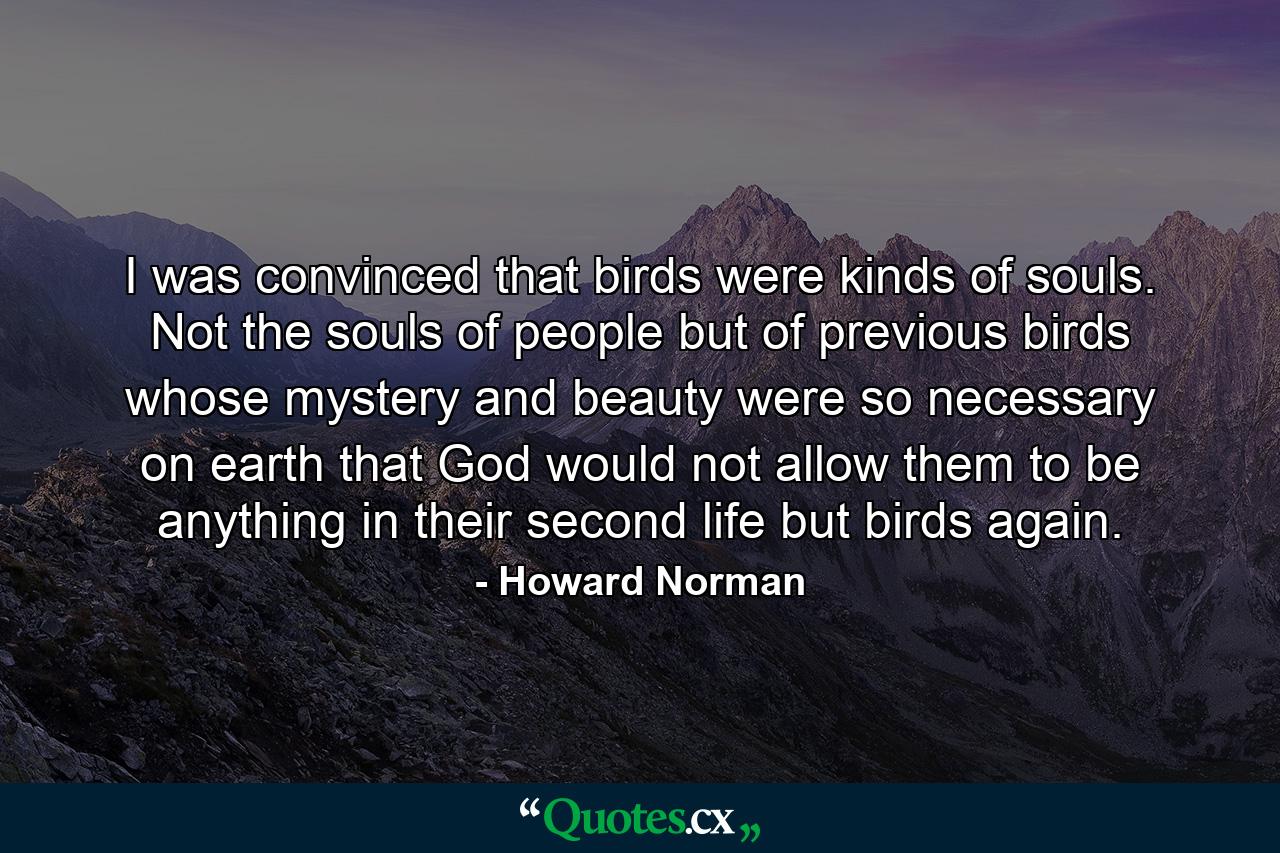 I was convinced that birds were kinds of souls. Not the souls of people but of previous birds whose mystery and beauty were so necessary on earth that God would not allow them to be anything in their second life but birds again. - Quote by Howard Norman