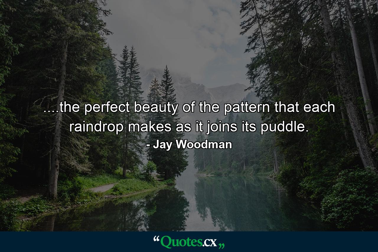 ....the perfect beauty of the pattern that each raindrop makes as it joins its puddle. - Quote by Jay Woodman