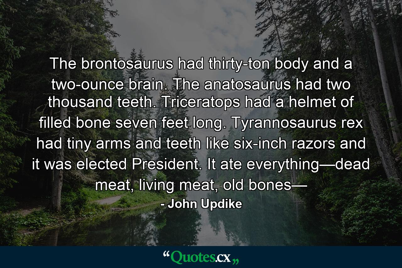 The brontosaurus had thirty-ton body and a two-ounce brain. The anatosaurus had two thousand teeth. Triceratops had a helmet of filled bone seven feet long. Tyrannosaurus rex had tiny arms and teeth like six-inch razors and it was elected President. It ate everything—dead meat, living meat, old bones— - Quote by John Updike