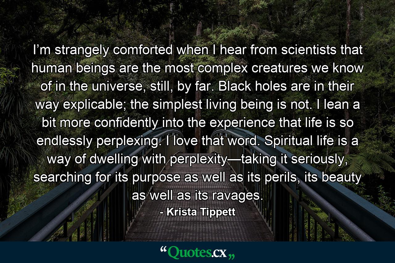 I’m strangely comforted when I hear from scientists that human beings are the most complex creatures we know of in the universe, still, by far. Black holes are in their way explicable; the simplest living being is not. I lean a bit more confidently into the experience that life is so endlessly perplexing. I love that word. Spiritual life is a way of dwelling with perplexity—taking it seriously, searching for its purpose as well as its perils, its beauty as well as its ravages. - Quote by Krista Tippett