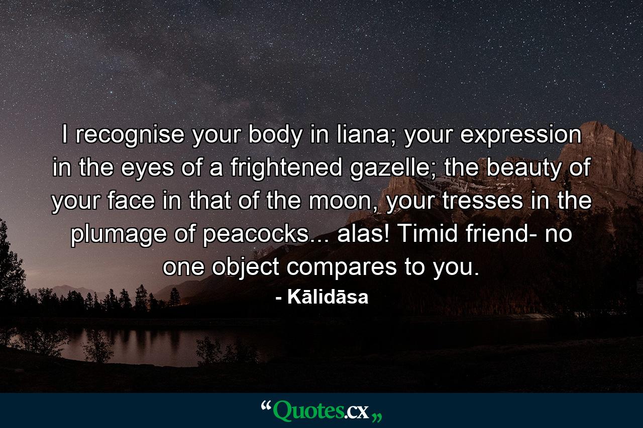 I recognise your body in liana; your expression in the eyes of a frightened gazelle; the beauty of your face in that of the moon, your tresses in the plumage of peacocks... alas! Timid friend- no one object compares to you. - Quote by Kālidāsa