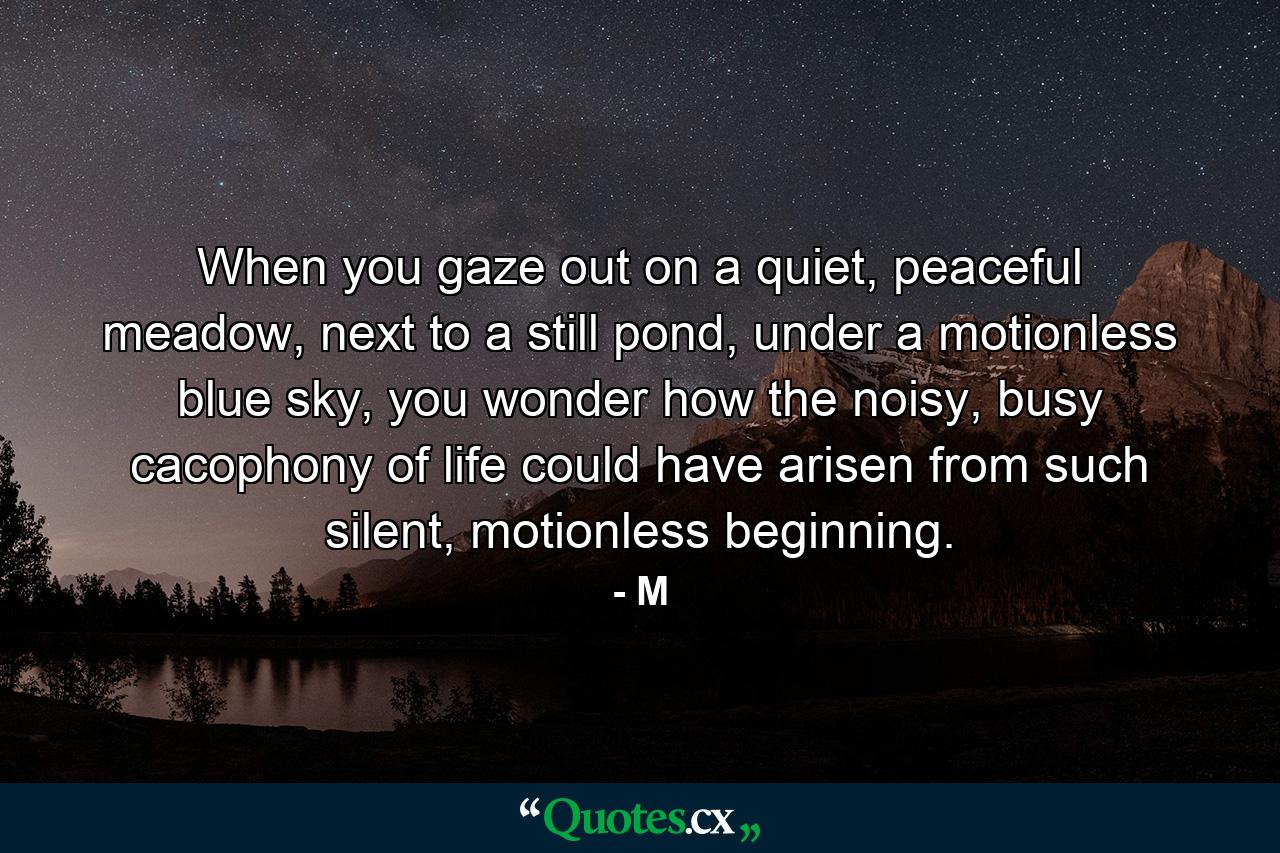 When you gaze out on a quiet, peaceful meadow, next to a still pond, under a motionless blue sky, you wonder how the noisy, busy cacophony of life could have arisen from such silent, motionless beginning. - Quote by M