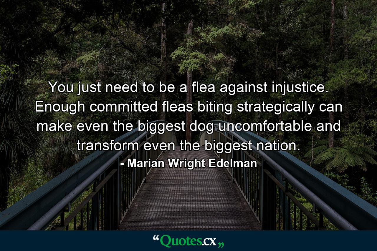 You just need to be a flea against injustice. Enough committed fleas biting strategically can make even the biggest dog uncomfortable and transform even the biggest nation. - Quote by Marian Wright Edelman