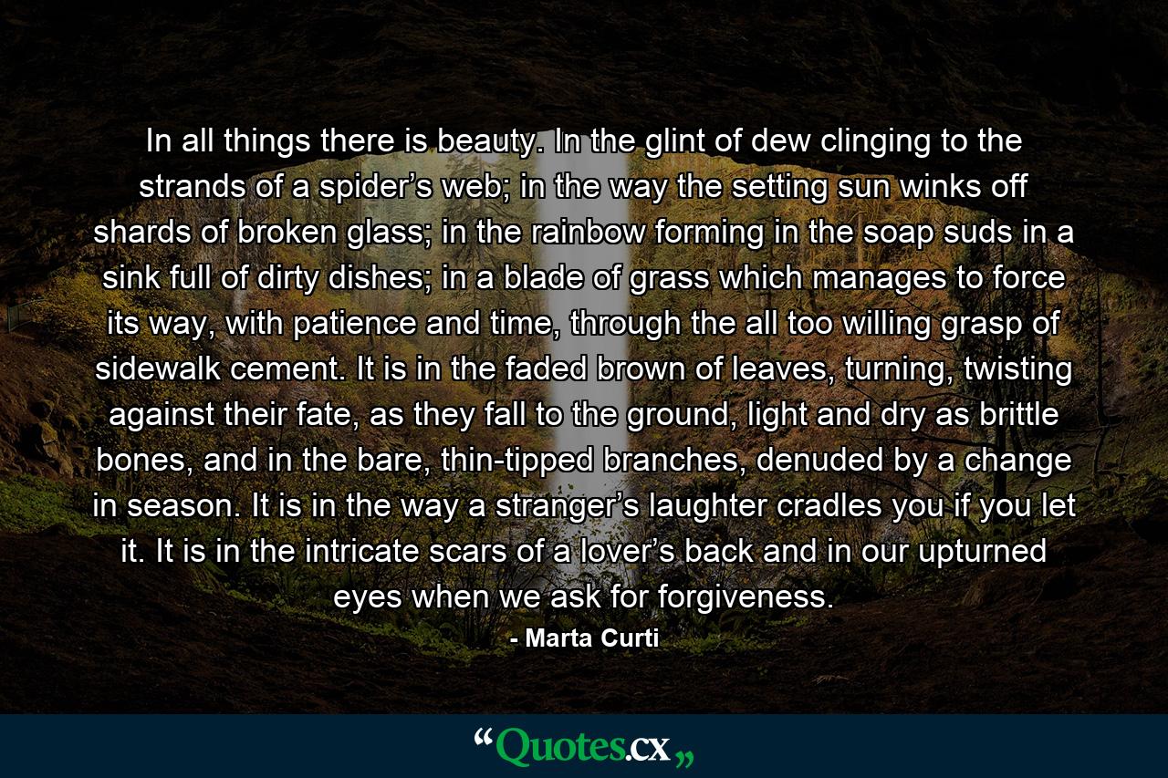 In all things there is beauty. In the glint of dew clinging to the strands of a spider’s web; in the way the setting sun winks off shards of broken glass; in the rainbow forming in the soap suds in a sink full of dirty dishes; in a blade of grass which manages to force its way, with patience and time, through the all too willing grasp of sidewalk cement. It is in the faded brown of leaves, turning, twisting against their fate, as they fall to the ground, light and dry as brittle bones, and in the bare, thin-tipped branches, denuded by a change in season. It is in the way a stranger’s laughter cradles you if you let it. It is in the intricate scars of a lover’s back and in our upturned eyes when we ask for forgiveness. - Quote by Marta Curti