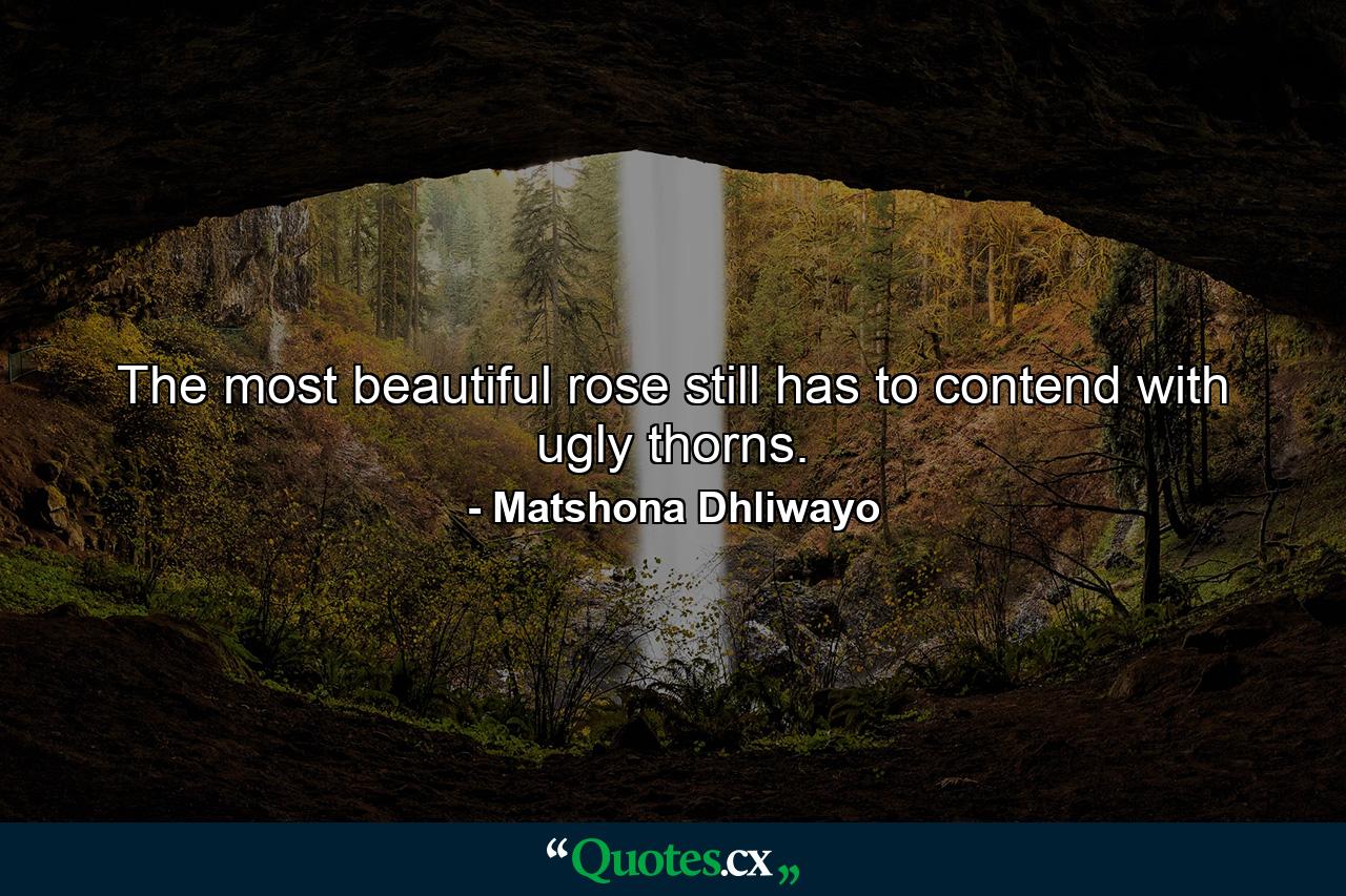 The most beautiful rose still has to contend with ugly thorns. - Quote by Matshona Dhliwayo