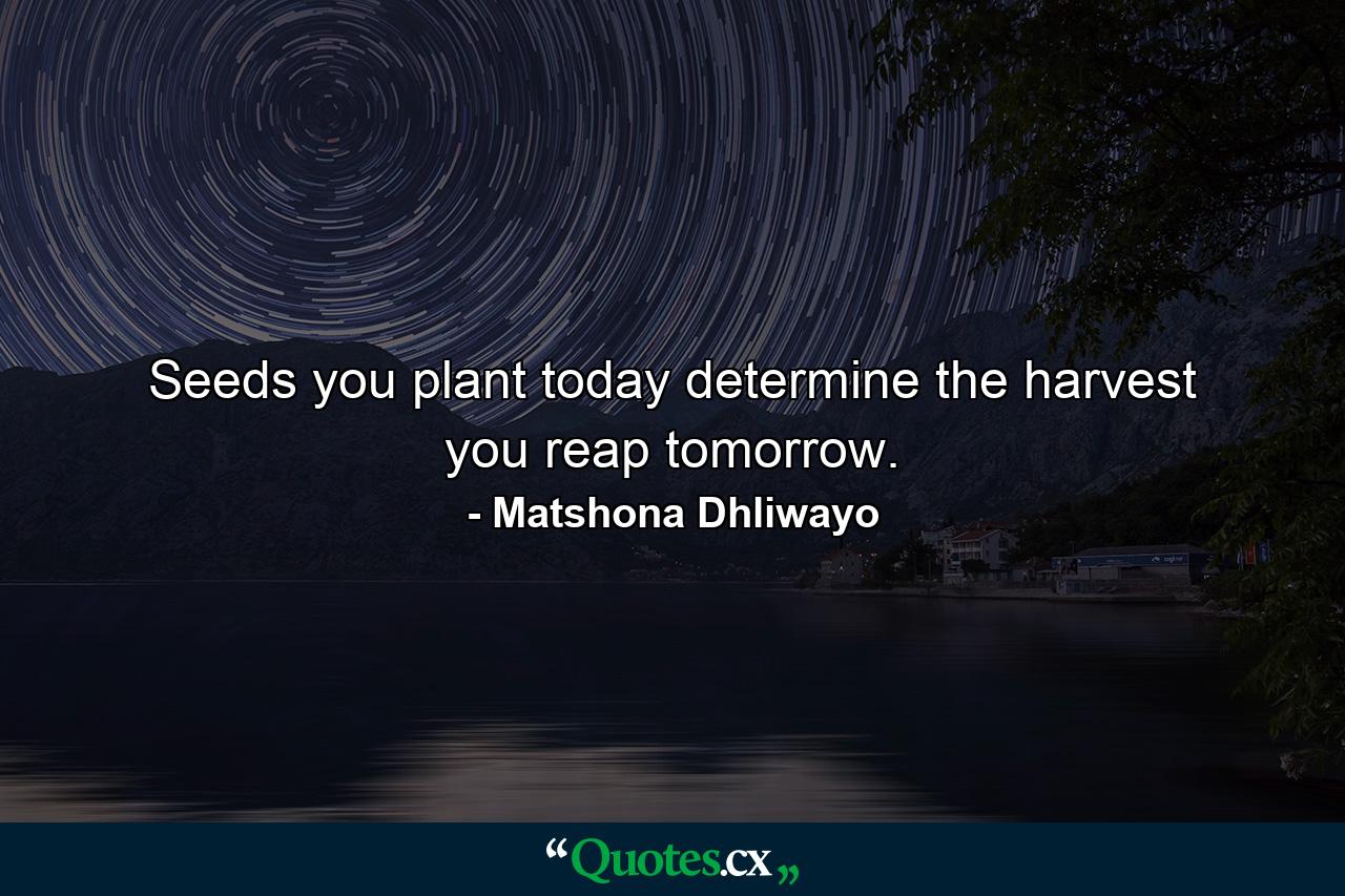 Seeds you plant today determine the harvest you reap tomorrow. - Quote by Matshona Dhliwayo