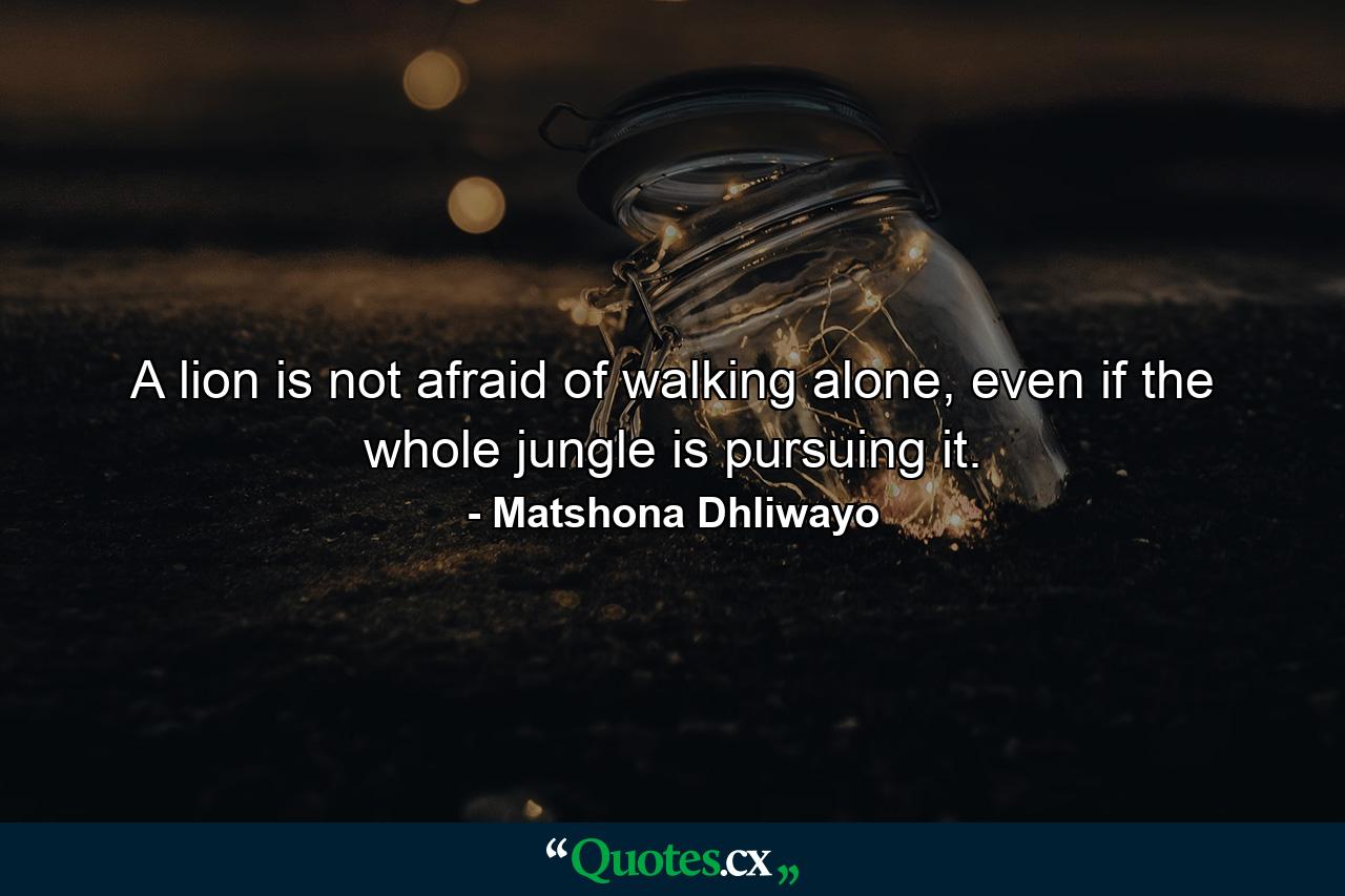 A lion is not afraid of walking alone, even if the whole jungle is pursuing it. - Quote by Matshona Dhliwayo