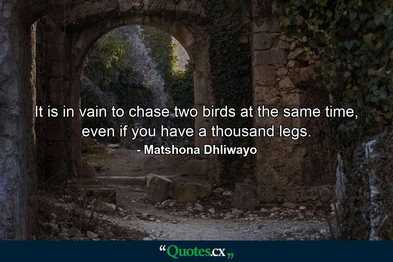 It is in vain to chase two birds at the same time, even if you have a thousand legs. - Quote by Matshona Dhliwayo