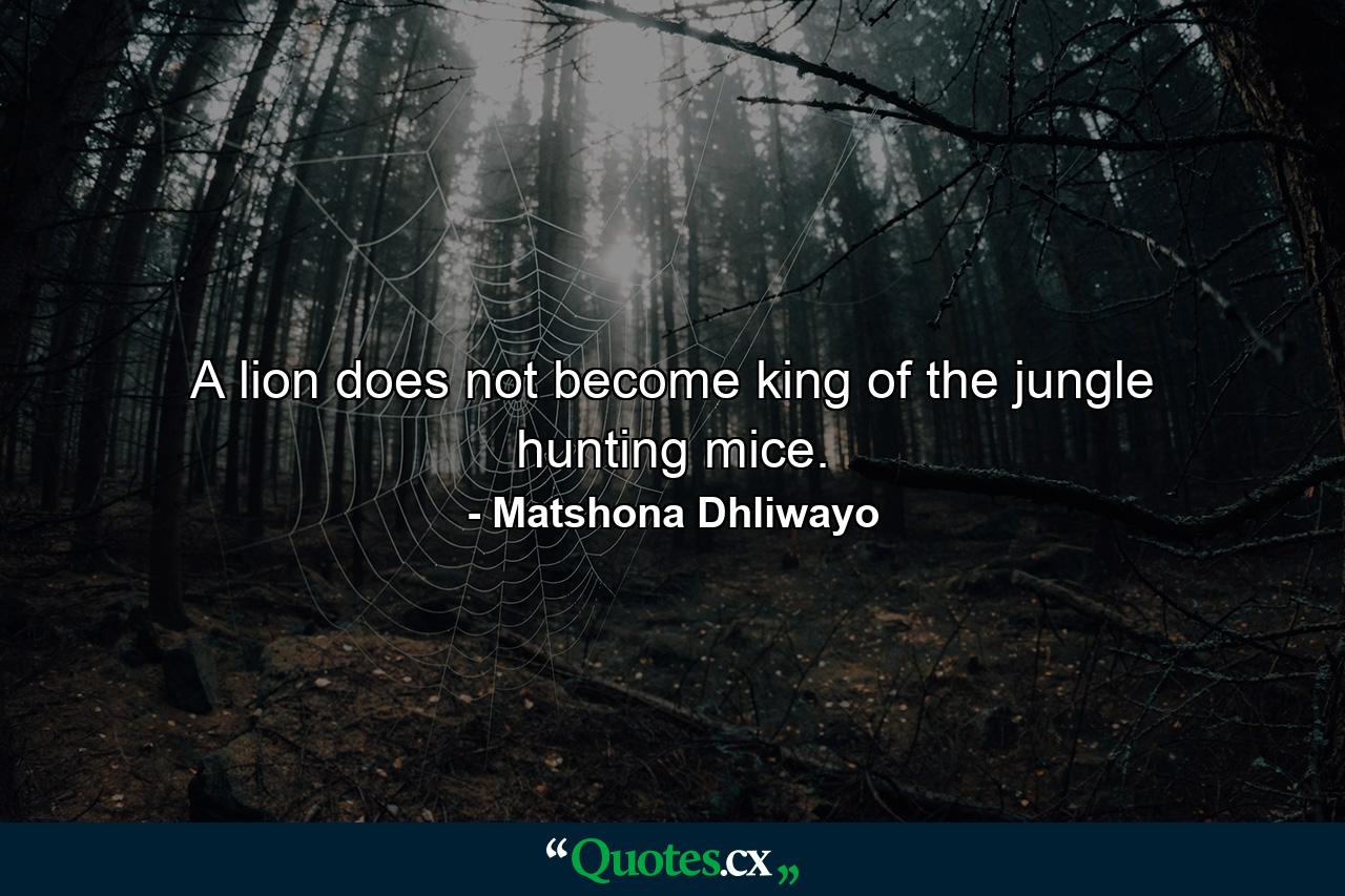 A lion does not become king of the jungle hunting mice. - Quote by Matshona Dhliwayo