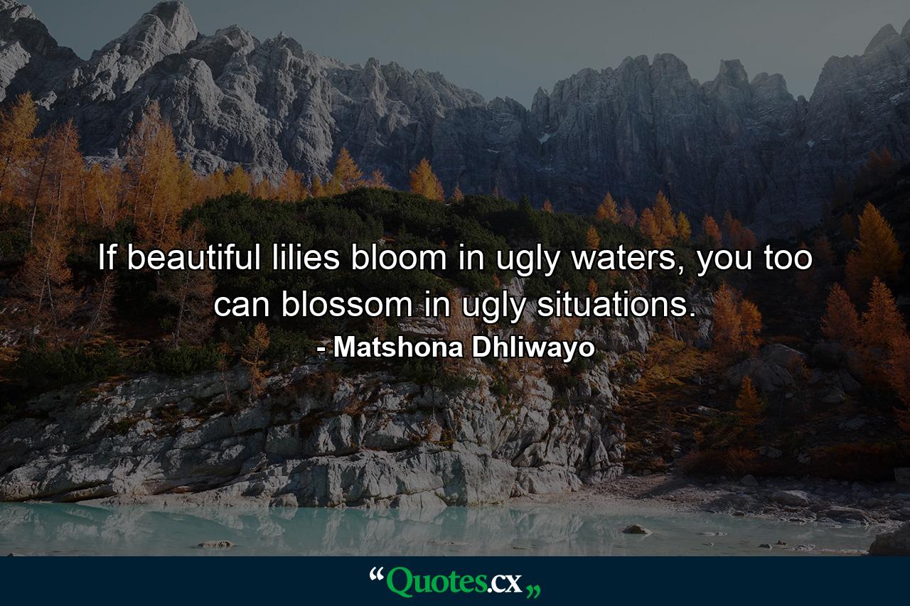 If beautiful lilies bloom in ugly waters, you too can blossom in ugly situations. - Quote by Matshona Dhliwayo