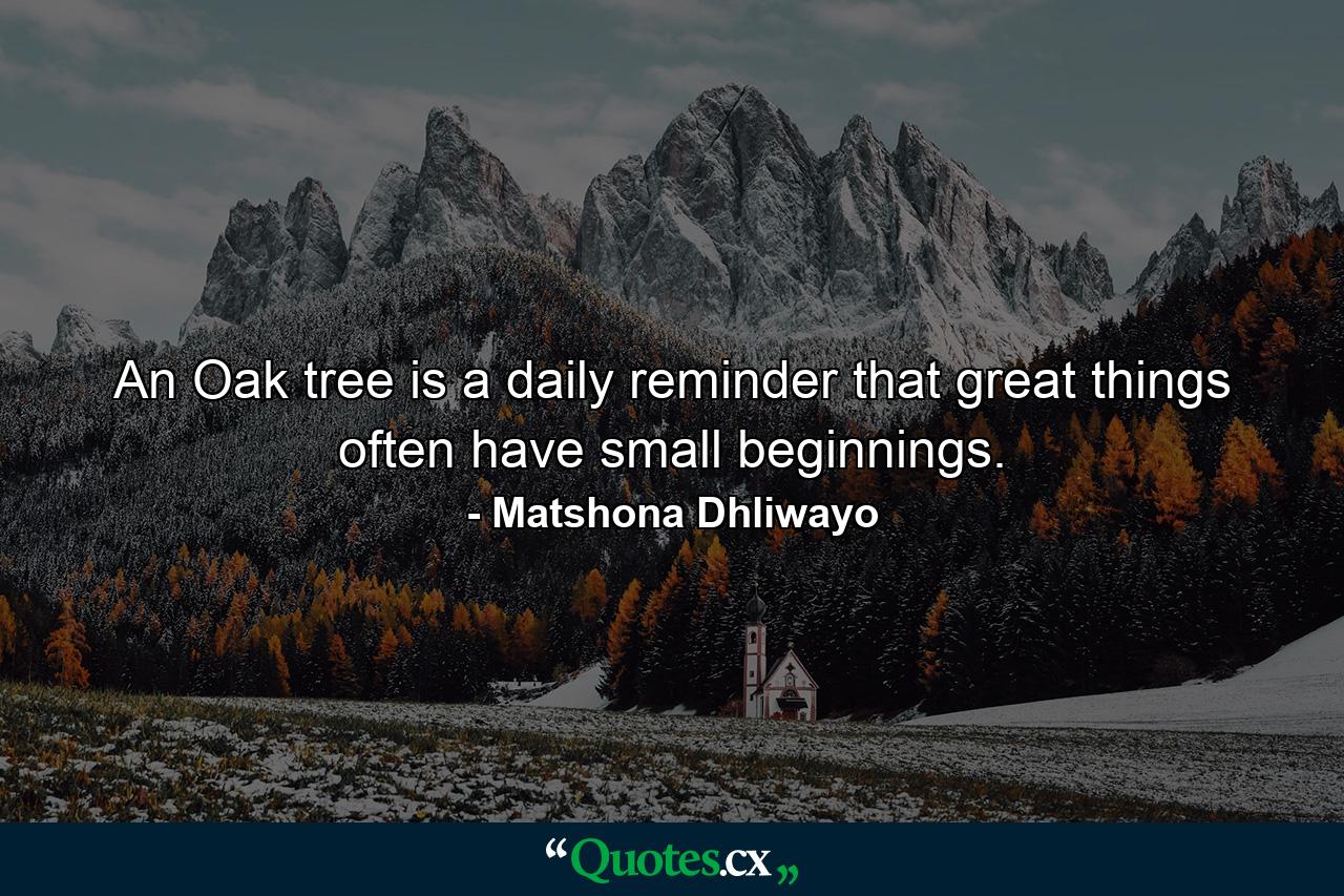 An Oak tree is a daily reminder that great things often have small beginnings. - Quote by Matshona Dhliwayo