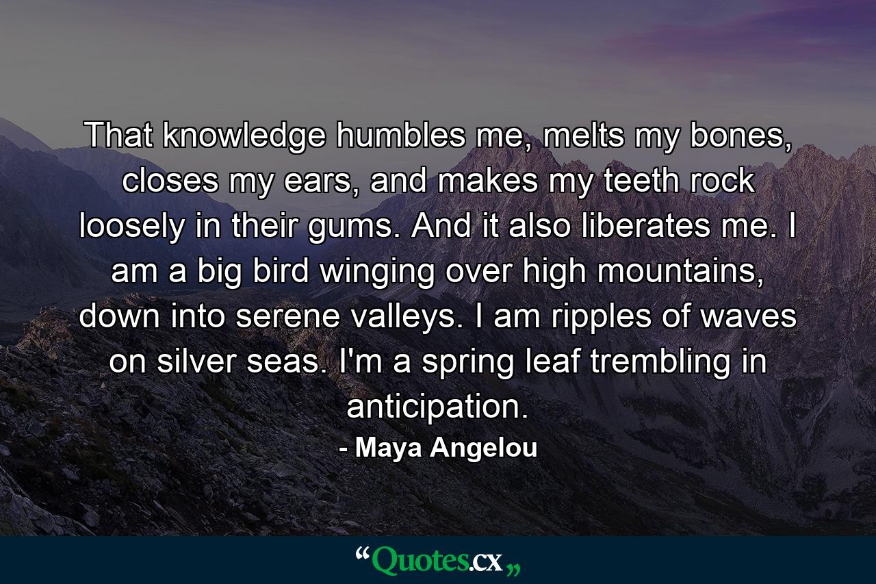 That knowledge humbles me, melts my bones, closes my ears, and makes my teeth rock loosely in their gums. And it also liberates me. I am a big bird winging over high mountains, down into serene valleys. I am ripples of waves on silver seas. I'm a spring leaf trembling in anticipation. - Quote by Maya Angelou