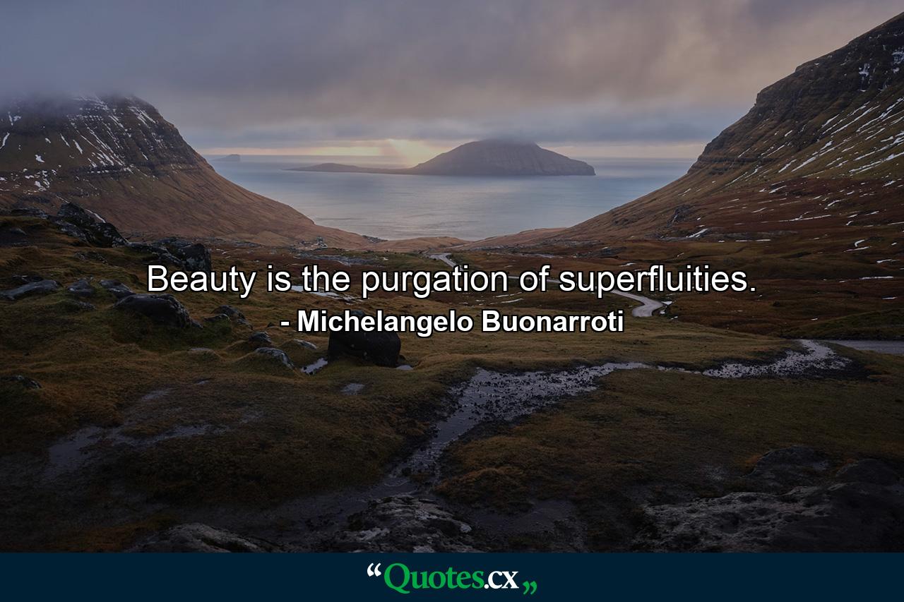 Beauty is the purgation of superfluities. - Quote by Michelangelo Buonarroti