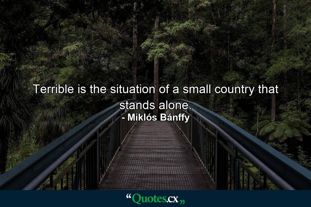 Terrible is the situation of a small country that stands alone. - Quote by Miklós Bánffy