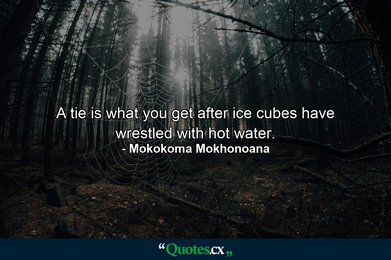 A tie is what you get after ice cubes have wrestled with hot water. - Quote by Mokokoma Mokhonoana