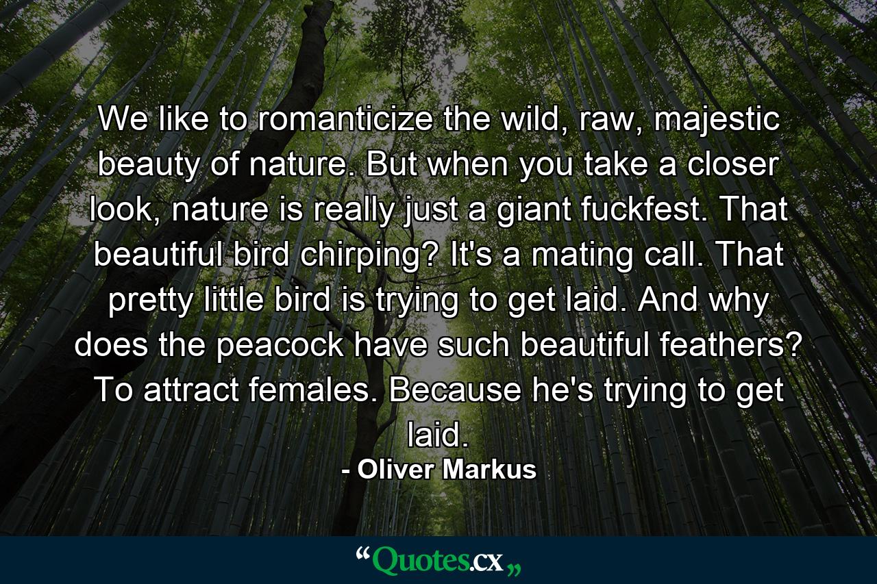 We like to romanticize the wild, raw, majestic beauty of nature. But when you take a closer look, nature is really just a giant fuckfest. That beautiful bird chirping? It's a mating call. That pretty little bird is trying to get laid. And why does the peacock have such beautiful feathers? To attract females. Because he's trying to get laid. - Quote by Oliver Markus