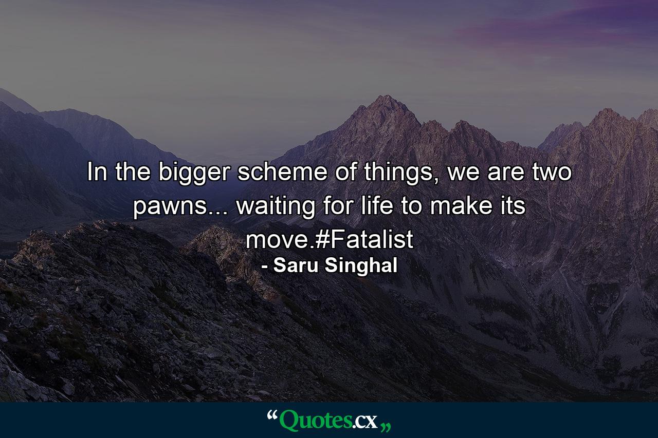 In the bigger scheme of things, we are two pawns... waiting for life to make its move.#Fatalist - Quote by Saru Singhal