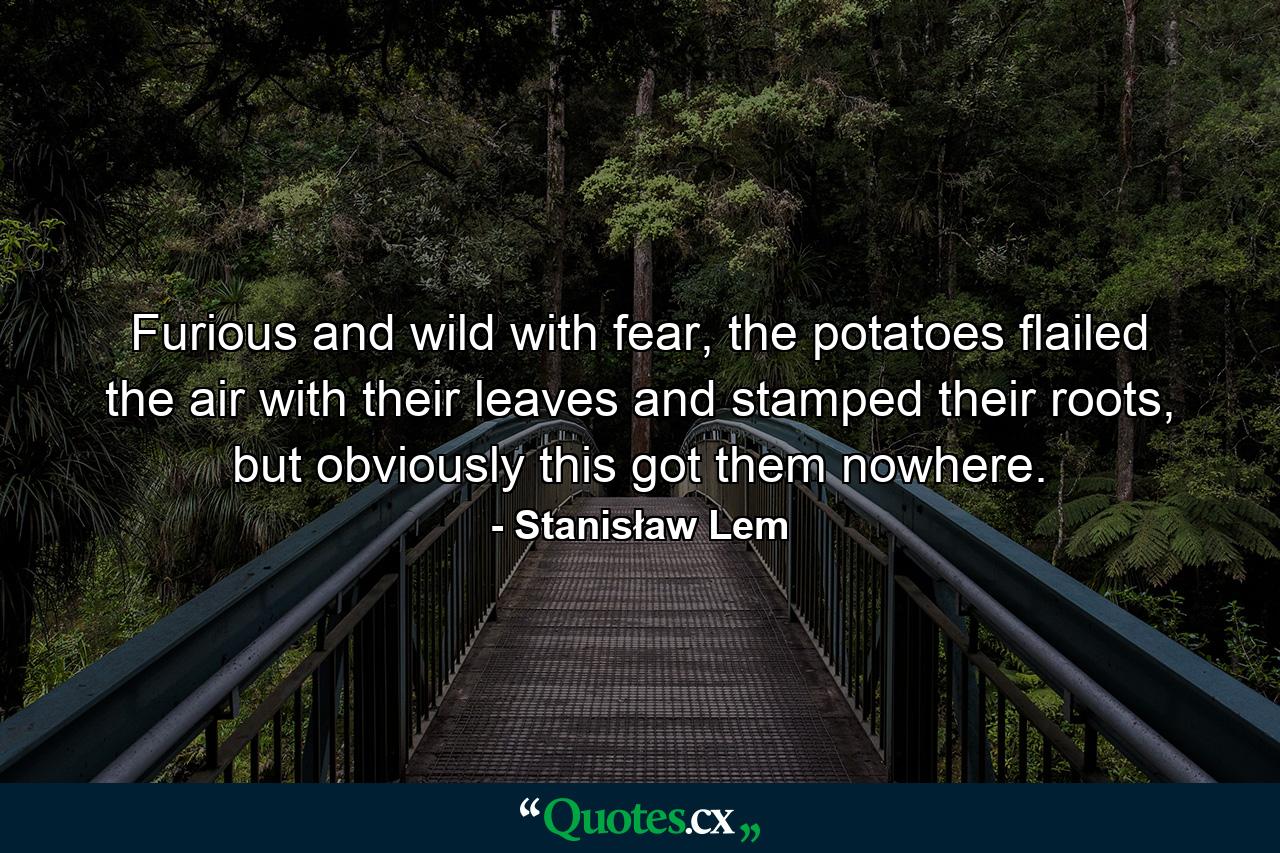 Furious and wild with fear, the potatoes flailed the air with their leaves and stamped their roots, but obviously this got them nowhere. - Quote by Stanisław Lem