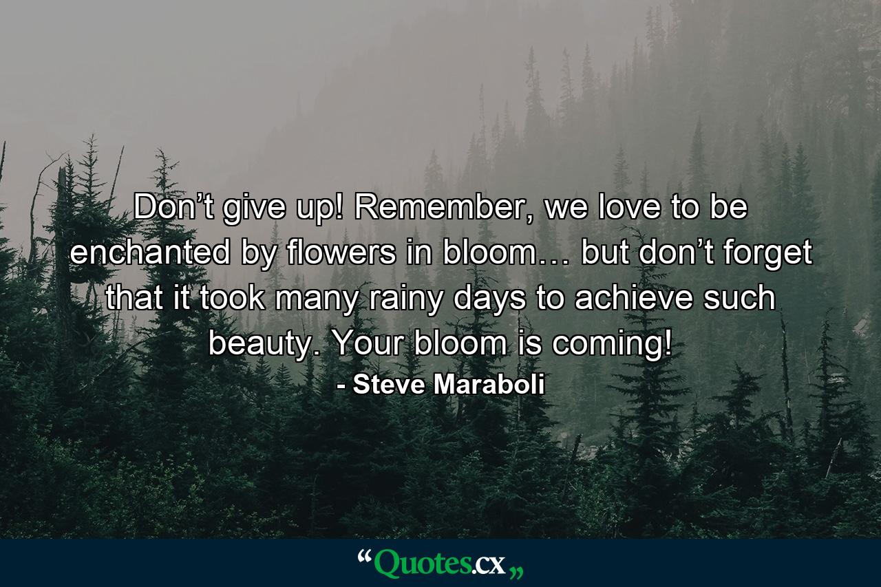 Don’t give up! Remember, we love to be enchanted by flowers in bloom… but don’t forget that it took many rainy days to achieve such beauty. Your bloom is coming! - Quote by Steve Maraboli