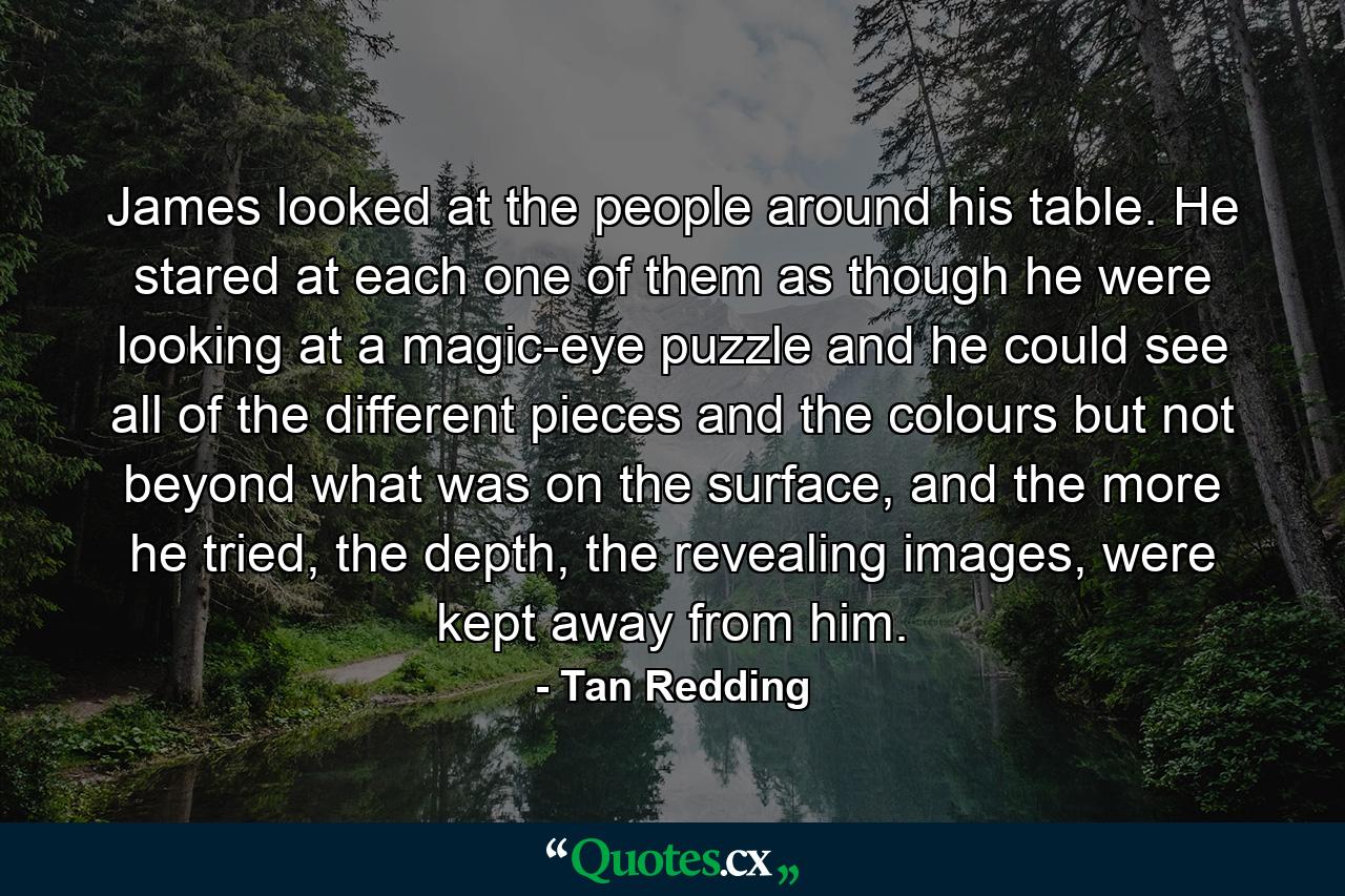 James looked at the people around his table. He stared at each one of them as though he were looking at a magic-eye puzzle and he could see all of the different pieces and the colours but not beyond what was on the surface, and the more he tried, the depth, the revealing images, were kept away from him. - Quote by Tan Redding