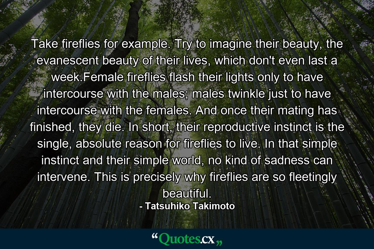 Take fireflies for example. Try to imagine their beauty, the evanescent beauty of their lives, which don't even last a week.Female fireflies flash their lights only to have intercourse with the males; males twinkle just to have intercourse with the females. And once their mating has finished, they die. In short, their reproductive instinct is the single, absolute reason for fireflies to live. In that simple instinct and their simple world, no kind of sadness can intervene. This is precisely why fireflies are so fleetingly beautiful. - Quote by Tatsuhiko Takimoto