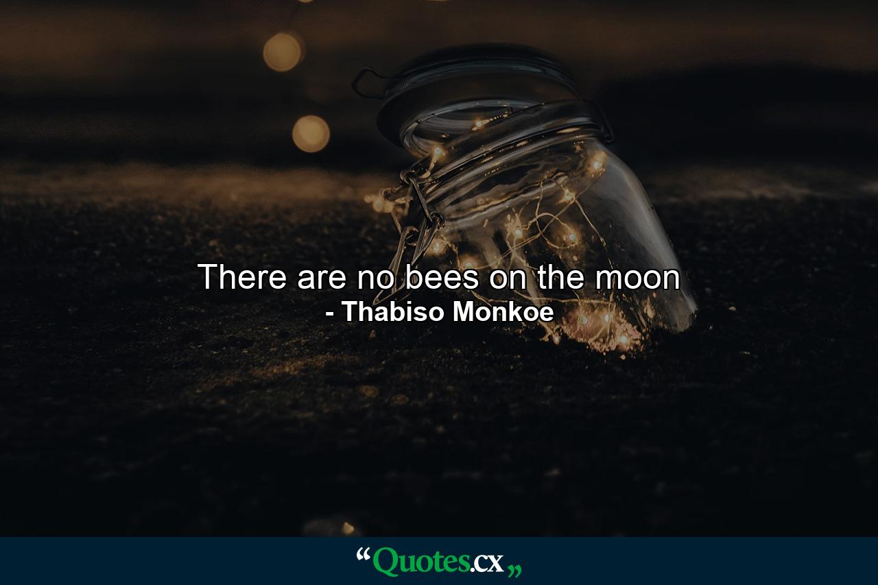 There are no bees on the moon - Quote by Thabiso Monkoe