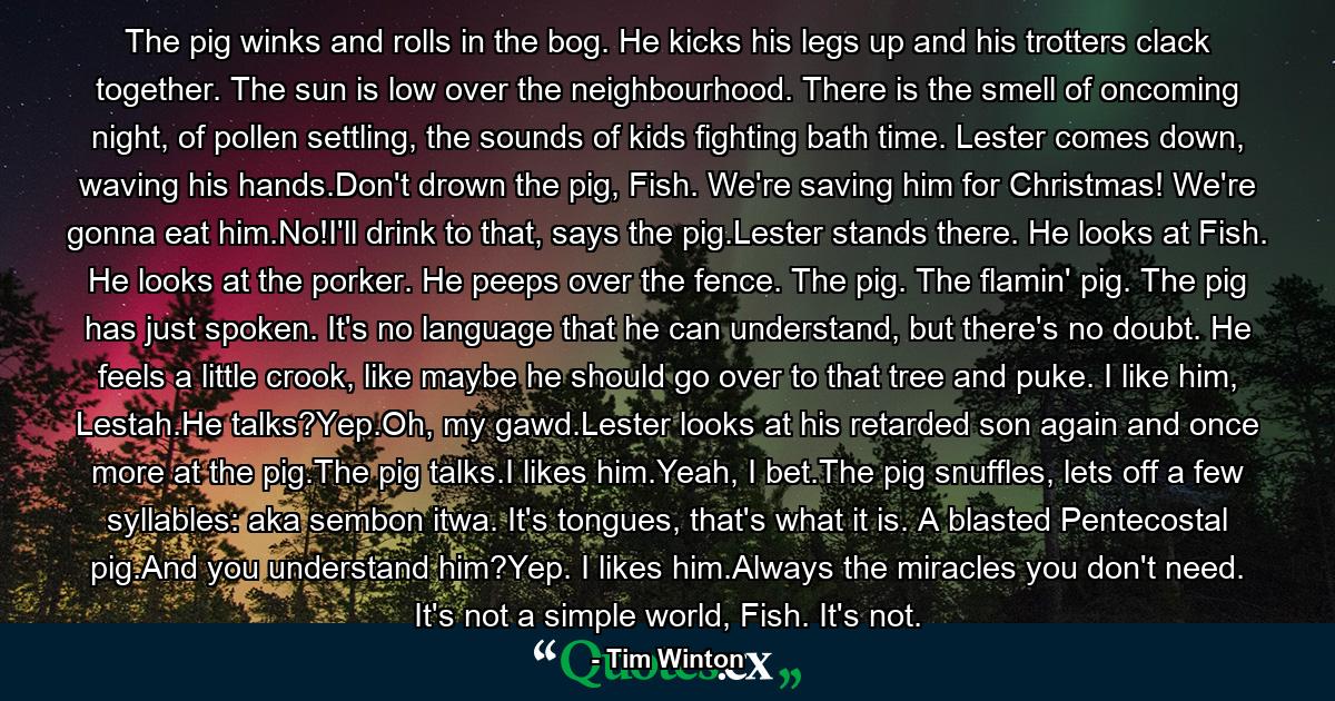 The pig winks and rolls in the bog. He kicks his legs up and his trotters clack together. The sun is low over the neighbourhood. There is the smell of oncoming night, of pollen settling, the sounds of kids fighting bath time. Lester comes down, waving his hands.Don't drown the pig, Fish. We're saving him for Christmas! We're gonna eat him.No!I'll drink to that, says the pig.Lester stands there. He looks at Fish. He looks at the porker. He peeps over the fence. The pig. The flamin' pig. The pig has just spoken. It's no language that he can understand, but there's no doubt. He feels a little crook, like maybe he should go over to that tree and puke. I like him, Lestah.He talks?Yep.Oh, my gawd.Lester looks at his retarded son again and once more at the pig.The pig talks.I likes him.Yeah, I bet.The pig snuffles, lets off a few syllables: aka sembon itwa. It's tongues, that's what it is. A blasted Pentecostal pig.And you understand him?Yep. I likes him.Always the miracles you don't need. It's not a simple world, Fish. It's not. - Quote by Tim Winton