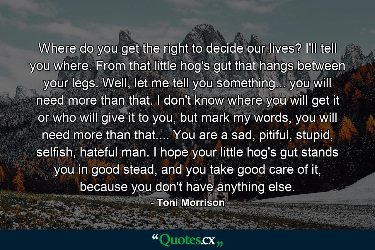 Where do you get the right to decide our lives? I'll tell you where. From that little hog's gut that hangs between your legs. Well, let me tell you something... you will need more than that. I don't know where you will get it or who will give it to you, but mark my words, you will need more than that.... You are a sad, pitiful, stupid, selfish, hateful man. I hope your little hog's gut stands you in good stead, and you take good care of it, because you don't have anything else. - Quote by Toni Morrison