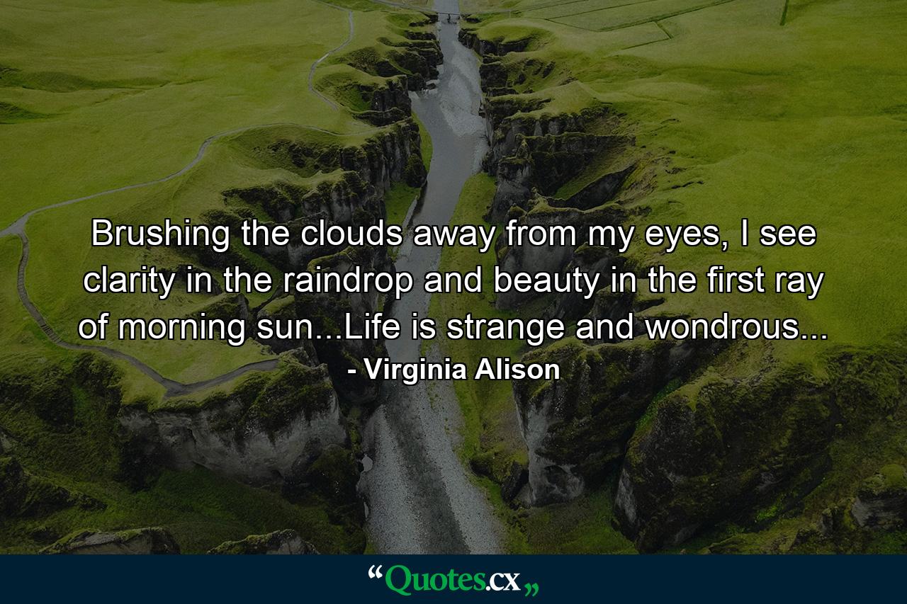 Brushing the clouds away from my eyes, I see clarity in the raindrop and beauty in the first ray of morning sun...Life is strange and wondrous... - Quote by Virginia Alison