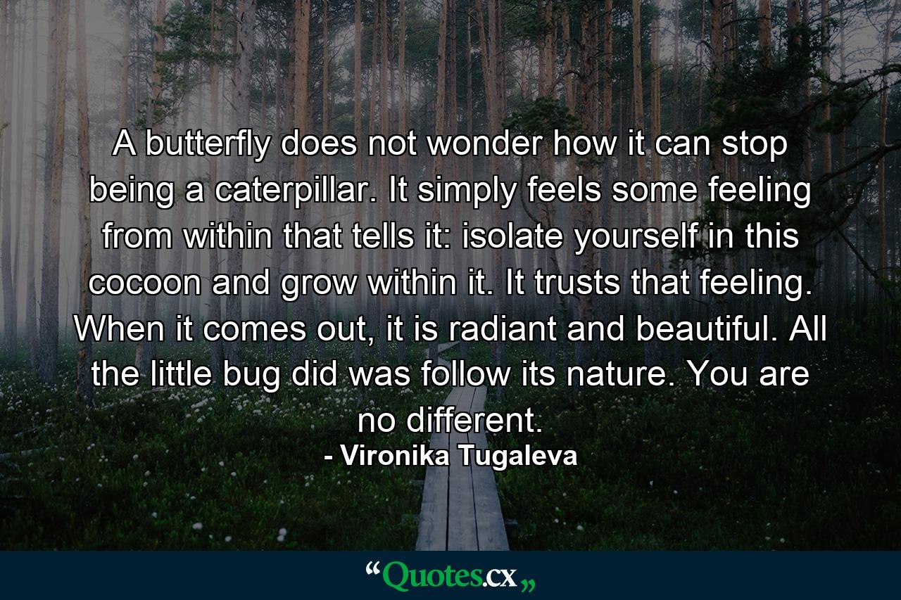 A butterfly does not wonder how it can stop being a caterpillar. It simply feels some feeling from within that tells it: isolate yourself in this cocoon and grow within it. It trusts that feeling. When it comes out, it is radiant and beautiful. All the little bug did was follow its nature. You are no different. - Quote by Vironika Tugaleva