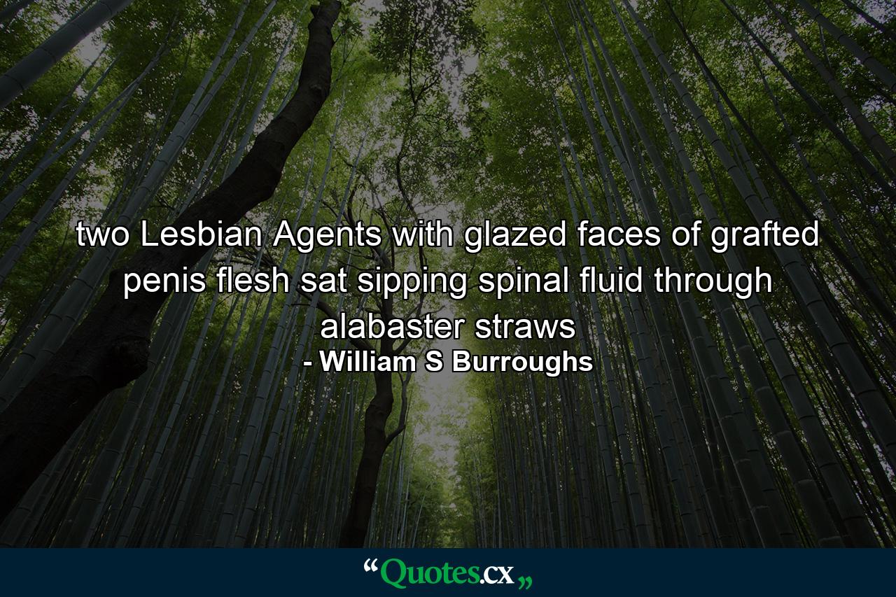 two Lesbian Agents with glazed faces of grafted penis flesh sat sipping spinal fluid through alabaster straws - Quote by William S Burroughs