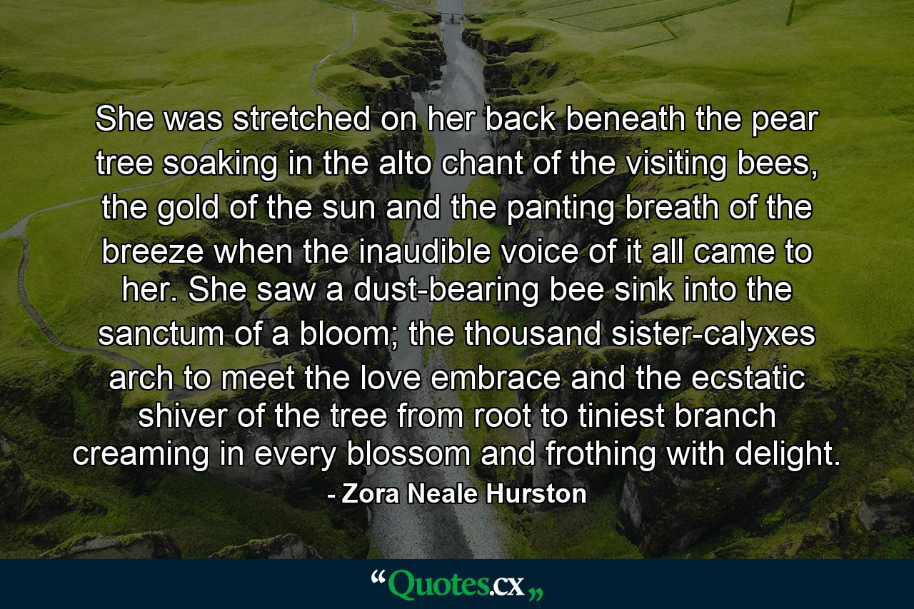 She was stretched on her back beneath the pear tree soaking in the alto chant of the visiting bees, the gold of the sun and the panting breath of the breeze when the inaudible voice of it all came to her. She saw a dust-bearing bee sink into the sanctum of a bloom; the thousand sister-calyxes arch to meet the love embrace and the ecstatic shiver of the tree from root to tiniest branch creaming in every blossom and frothing with delight. - Quote by Zora Neale Hurston