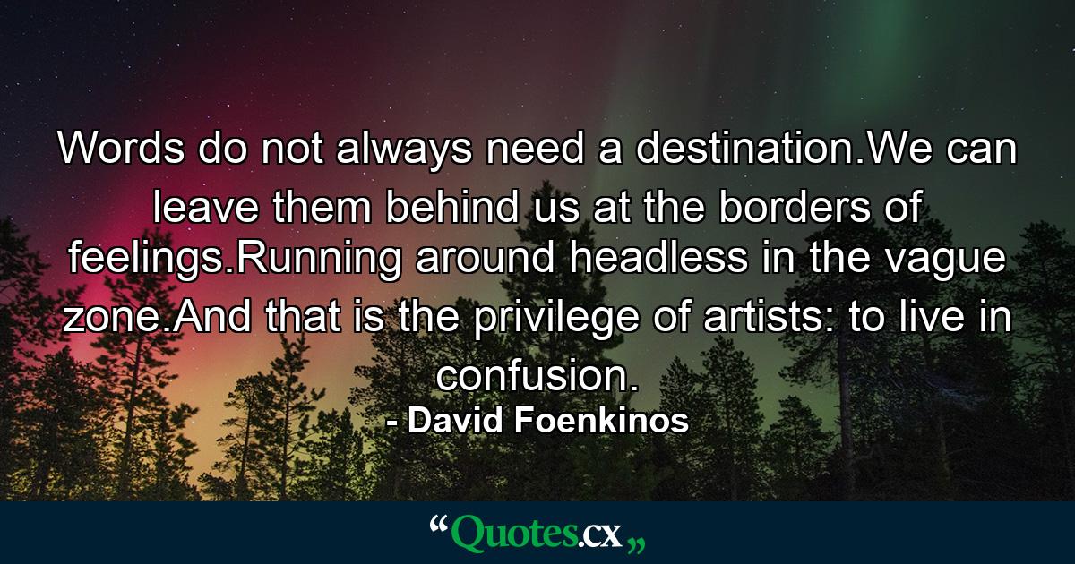 Words do not always need a destination.We can leave them behind us at the borders of feelings.Running around headless in the vague zone.And that is the privilege of artists: to live in confusion. - Quote by David Foenkinos