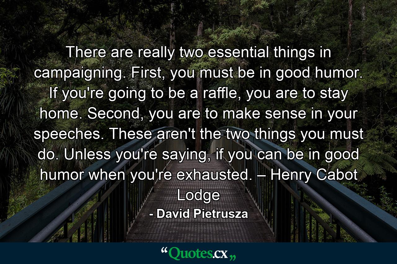 There are really two essential things in campaigning. First, you must be in good humor. If you're going to be a raffle, you are to stay home. Second, you are to make sense in your speeches. These aren't the two things you must do. Unless you're saying, if you can be in good humor when you're exhausted. – Henry Cabot Lodge - Quote by David Pietrusza