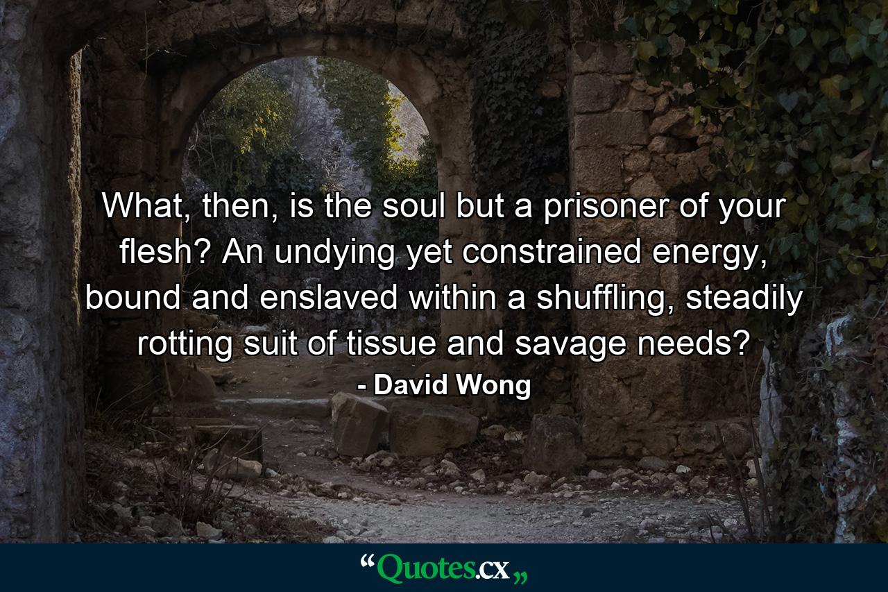 What, then, is the soul but a prisoner of your flesh? An undying yet constrained energy, bound and enslaved within a shuffling, steadily rotting suit of tissue and savage needs? - Quote by David Wong