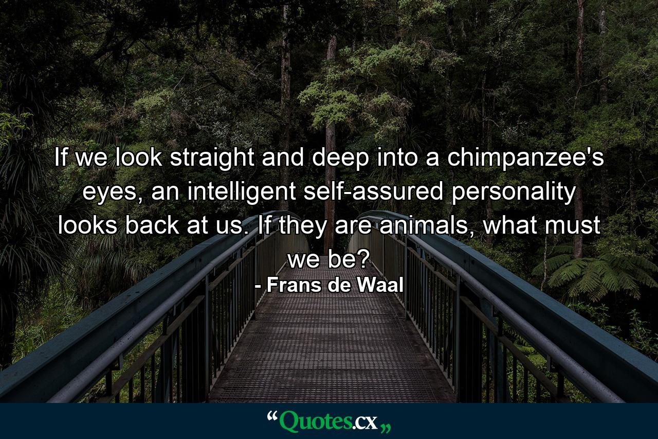 If we look straight and deep into a chimpanzee's eyes, an intelligent self-assured personality looks back at us. If they are animals, what must we be? - Quote by Frans de Waal