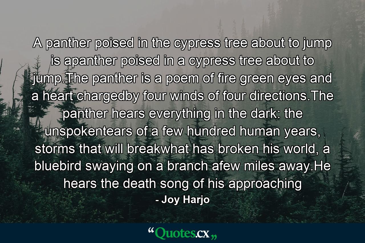 A panther poised in the cypress tree about to jump is apanther poised in a cypress tree about to jump.The panther is a poem of fire green eyes and a heart chargedby four winds of four directions.The panther hears everything in the dark: the unspokentears of a few hundred human years, storms that will breakwhat has broken his world, a bluebird swaying on a branch afew miles away.He hears the death song of his approaching - Quote by Joy Harjo