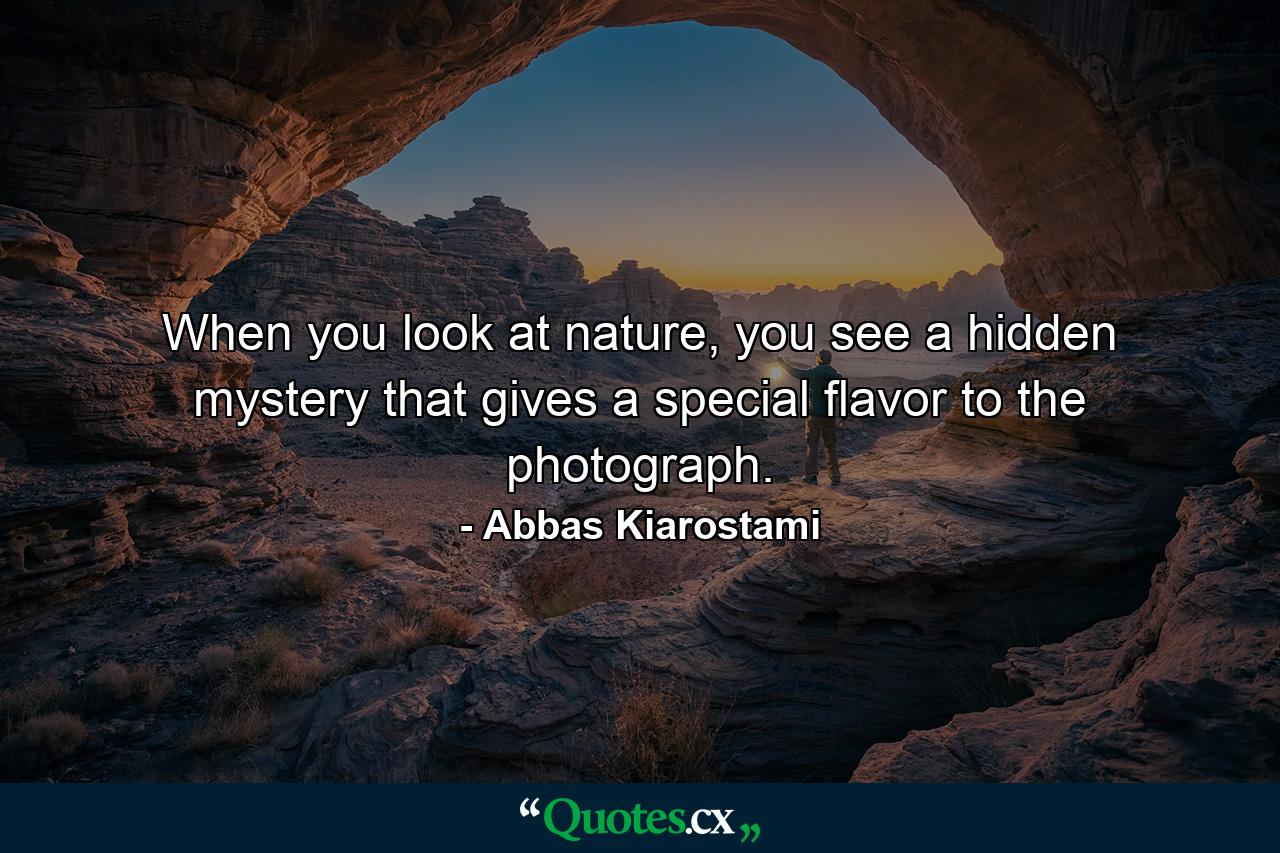 When you look at nature, you see a hidden mystery that gives a special flavor to the photograph. - Quote by Abbas Kiarostami